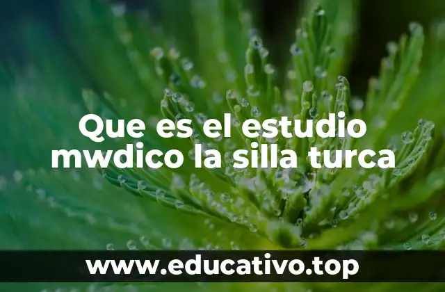 La importancia de la silla turca en la medicina clínica