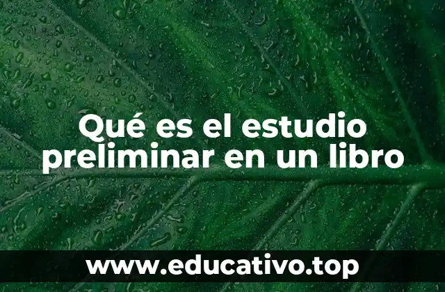 Qué es el estudio preliminar en un libro