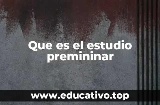 Que es el estudio premininar