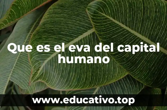 Que es el eva del capital humano