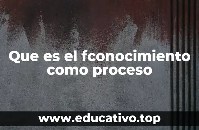 Que es el fconocimiento como proceso