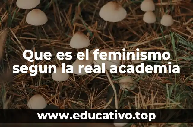 Que es el feminismo segun la real academia