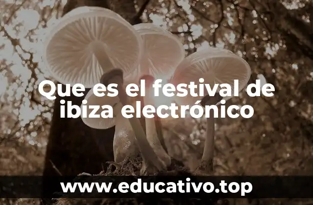 Que es el festival de ibiza electrónico