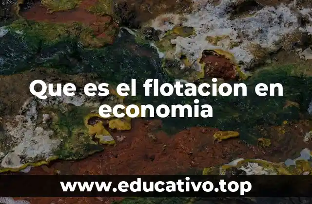 Que es el flotacion en economia