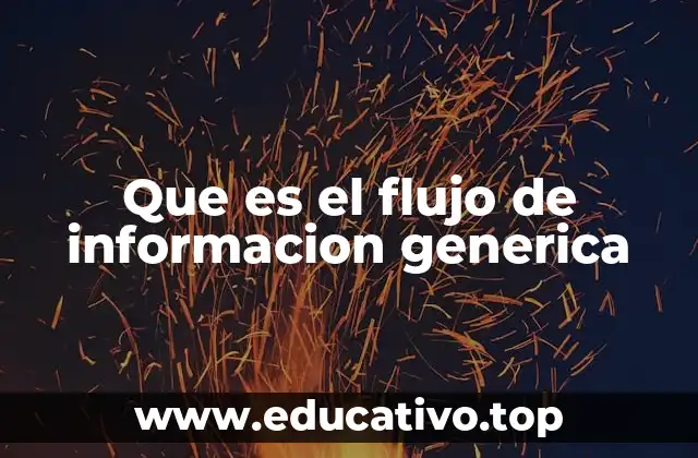 Que es el flujo de informacion generica