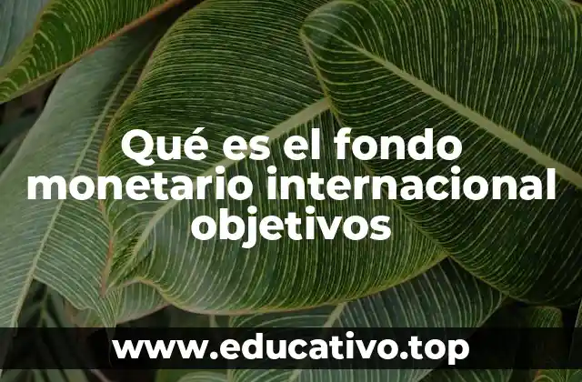 Qué es el fondo monetario internacional objetivos