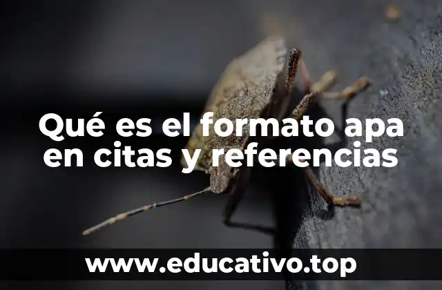 Cómo el formato APA mejora la credibilidad de los trabajos académicos