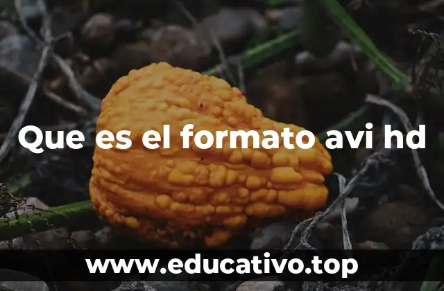 Que es el formato avi hd