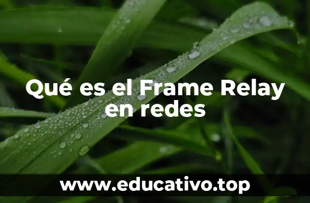 Qué es el Frame Relay en redes