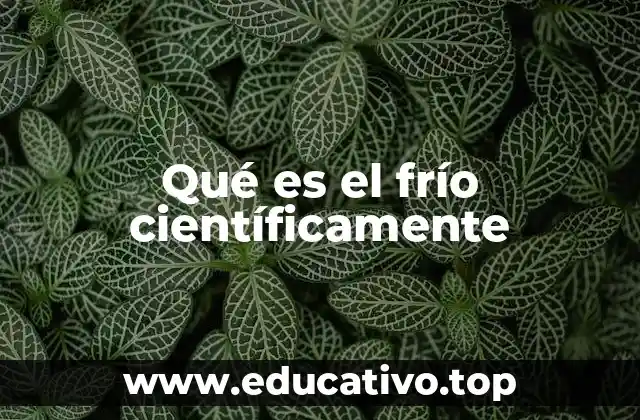 Qué es el frío científicamente