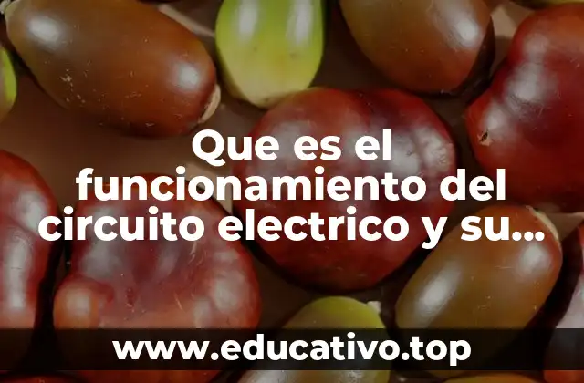 Que es el funcionamiento del circuito electrico y su aprovechamiento
