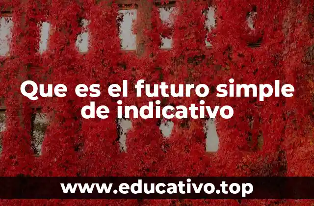 Uso y características del futuro simple de indicativo