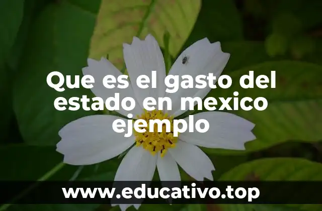 Que es el gasto del estado en mexico ejemplo