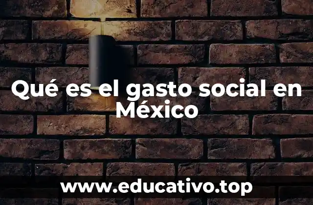 El papel del Estado en la asignación de recursos sociales