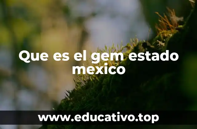 Que es el gem estado mexico