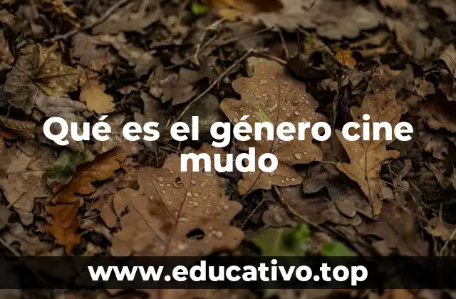 El arte de contar historias sin palabras