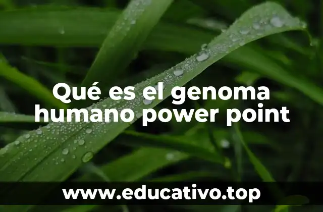 Qué es el genoma humano power point