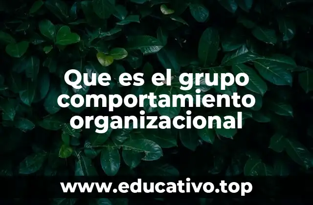 Que es el grupo comportamiento organizacional