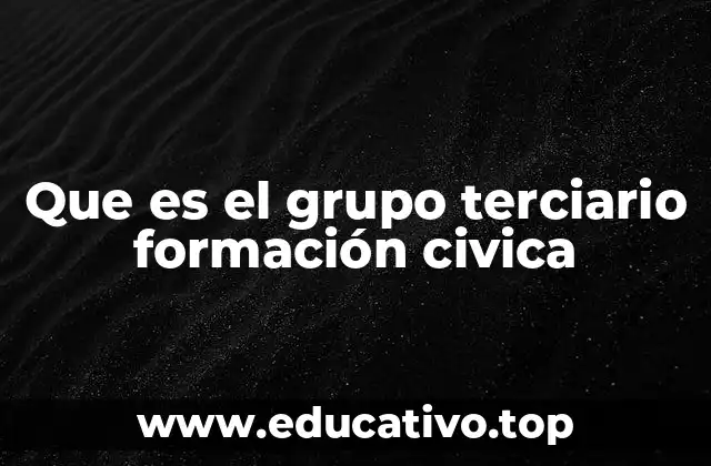 El rol del grupo terciario en la formación del ciudadano
