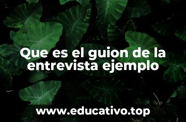 Que es el guion de la entrevista ejemplo