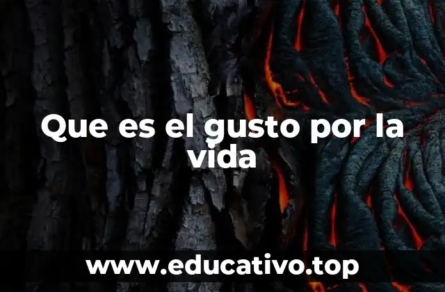 Que es el gusto por la vida