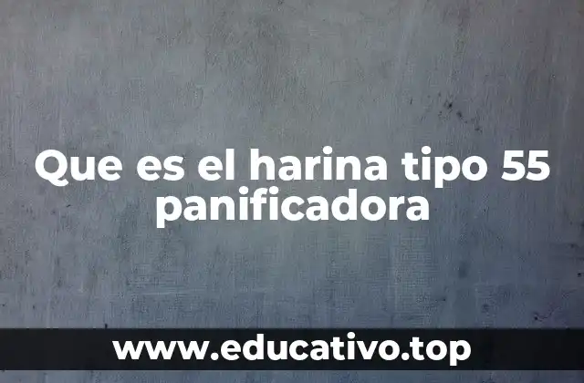 Que es el harina tipo 55 panificadora
