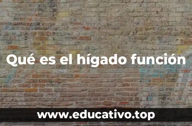 Qué es el hígado función