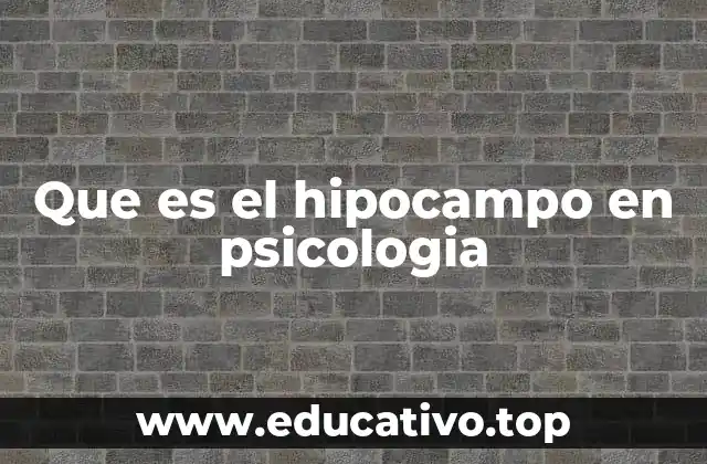Que es el hipocampo en psicologia