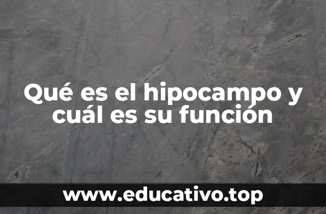 Qué es el hipocampo y cuál es su función