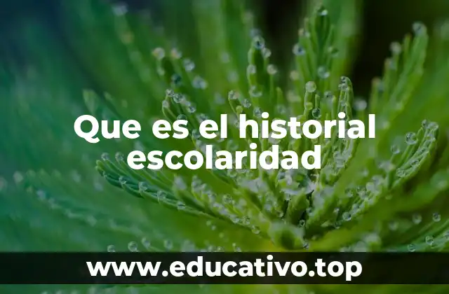 Que es el historial escolaridad