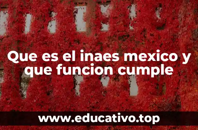 Que es el inaes mexico y que funcion cumple