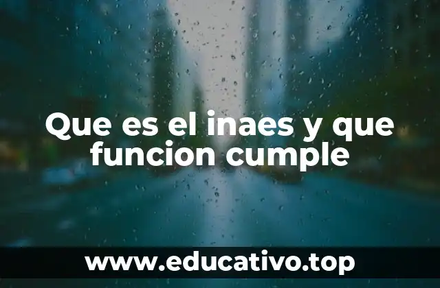 Que es el inaes y que funcion cumple