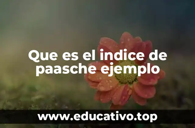 Que es el indice de paasche ejemplo