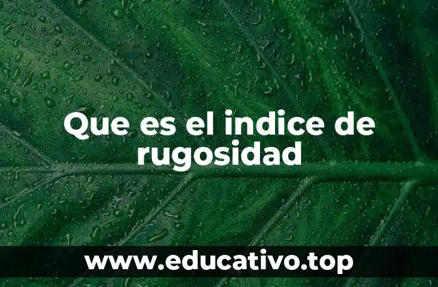 Que es el indice de rugosidad