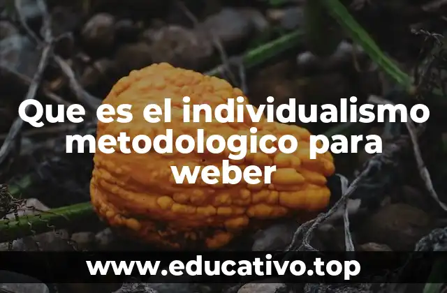 Que es el individualismo metodologico para weber