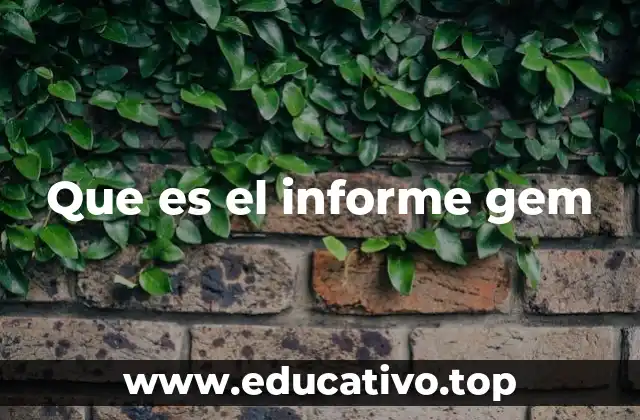 El impacto del GEM en la toma de decisiones empresariales