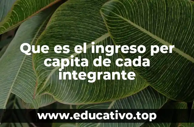 Que es el ingreso per capita de cada integrante