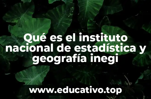 Qué es el instituto nacional de estadística y geografía inegi
