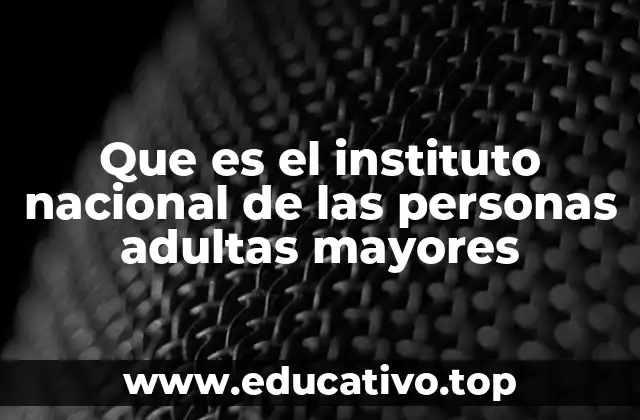 Que es el instituto nacional de las personas adultas mayores
