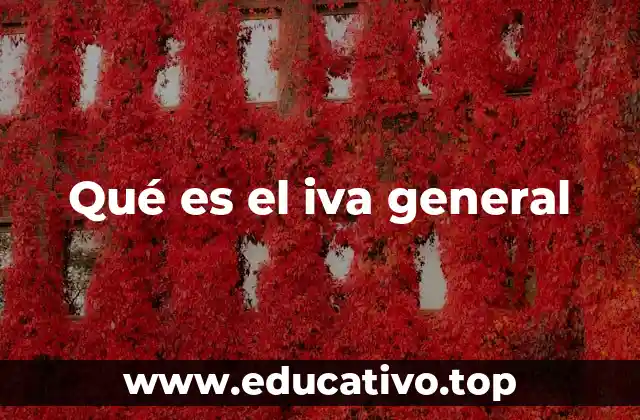 Qué es el iva general