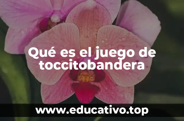 Qué es el juego de toccitobandera