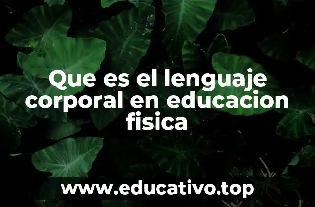 Que es el lenguaje corporal en educacion fisica