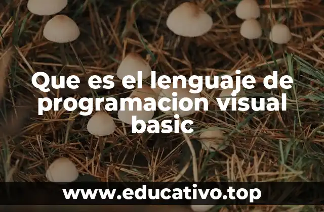 Que es el lenguaje de programacion visual basic