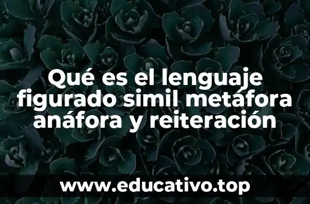 Qué es el lenguaje figurado simil metáfora anáfora y reiteración