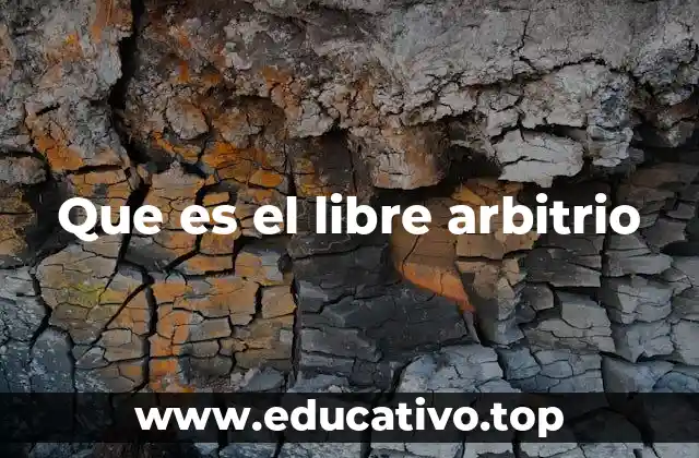 La libertad de elección como base de la moral