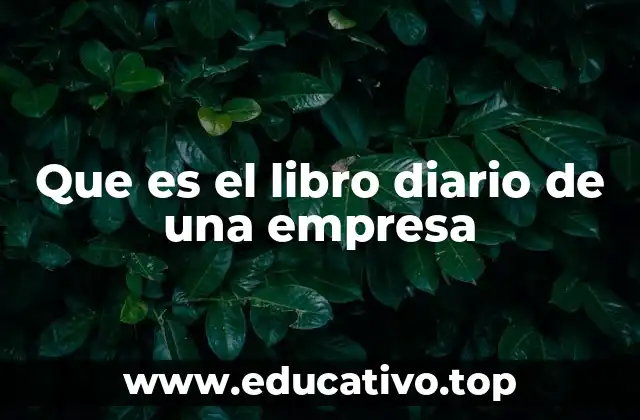 Que es el libro diario de una empresa