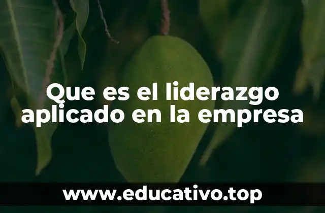 Que es el liderazgo aplicado en la empresa
