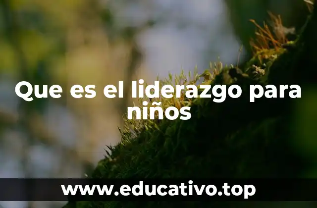 Que es el liderazgo para niños
