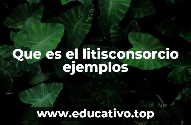 Que es el litisconsorcio ejemplos
