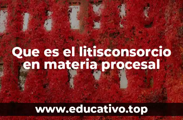 Que es el litisconsorcio en materia procesal